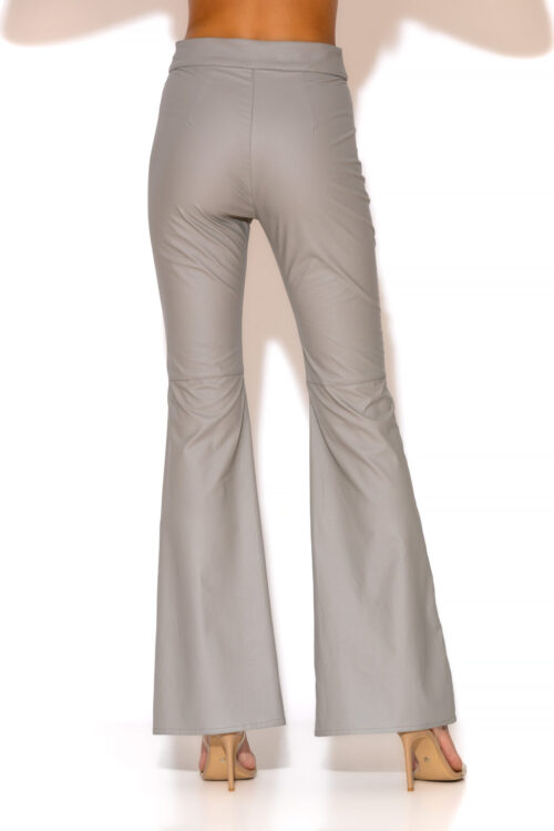 Gold Glow High Waist Leather Pants