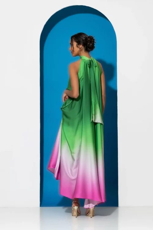 C-throu Printed Satin Dress