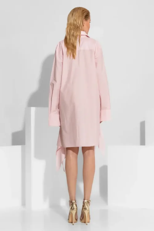 C-throu Oversized Poplin Dress