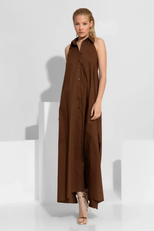 C-throu Poplin Dress