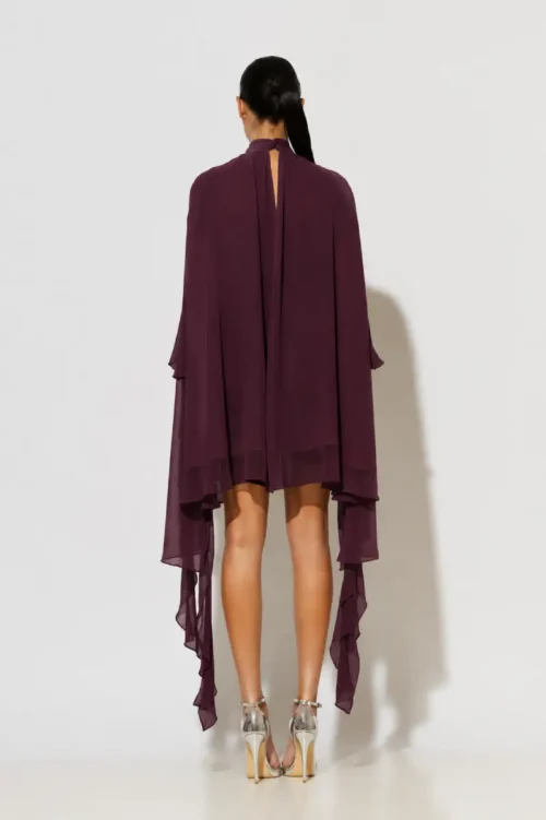 C-throu Chiffon Mini Dress