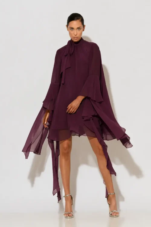 C-throu Chiffon Mini Dress