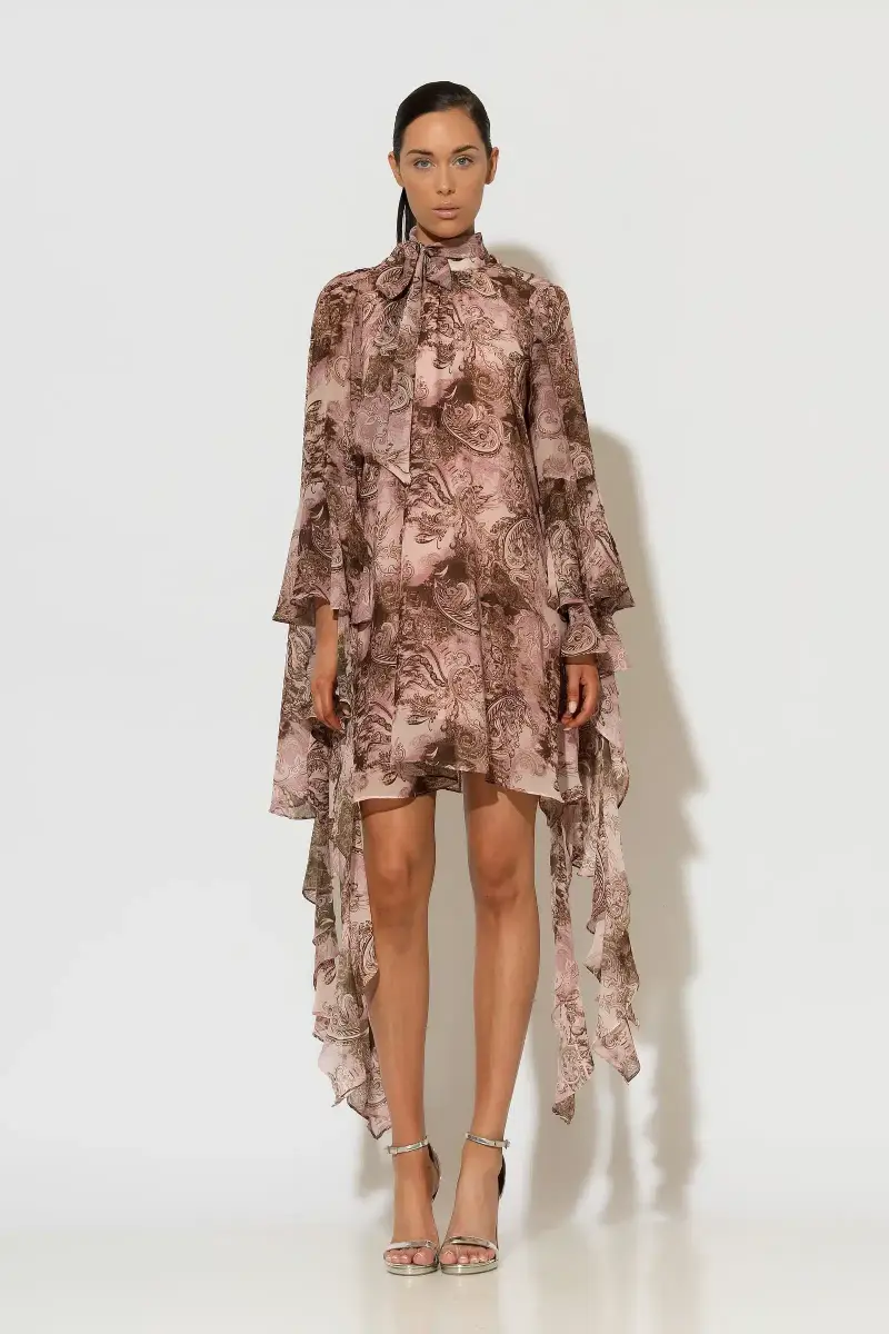 C-throu Printed Chiffon Dress
