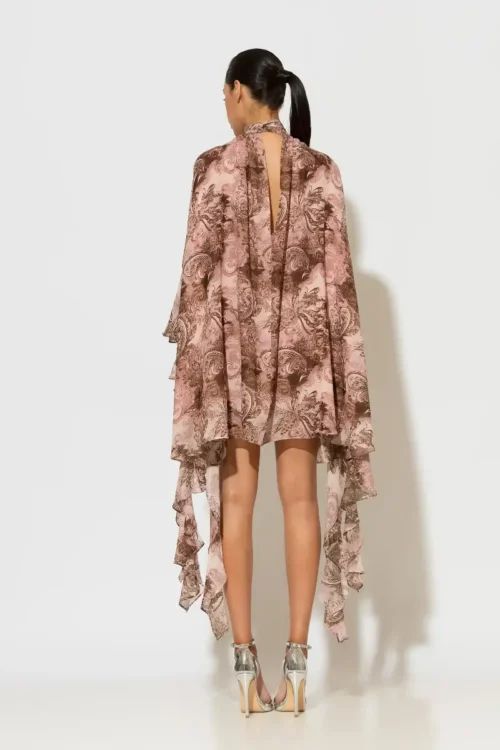 C-throu Printed Chiffon Dress