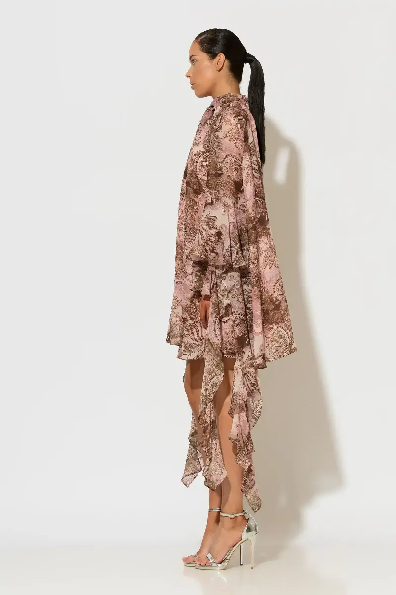 C-throu Printed Chiffon Dress