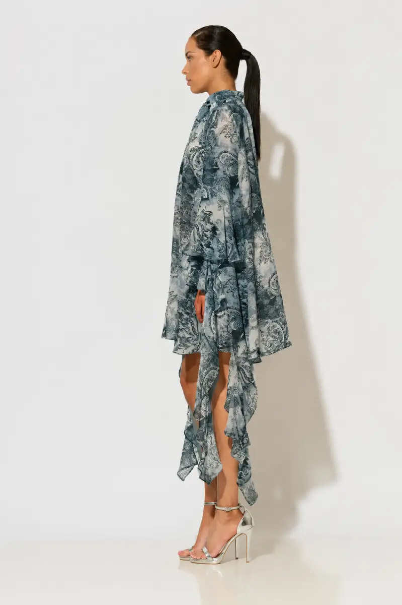 C-throu Printed Chiffon Dress