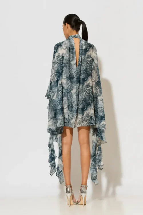 C-throu Printed Chiffon Dress