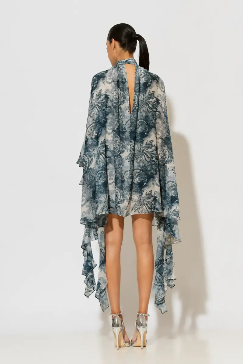 C-throu Printed Chiffon Dress