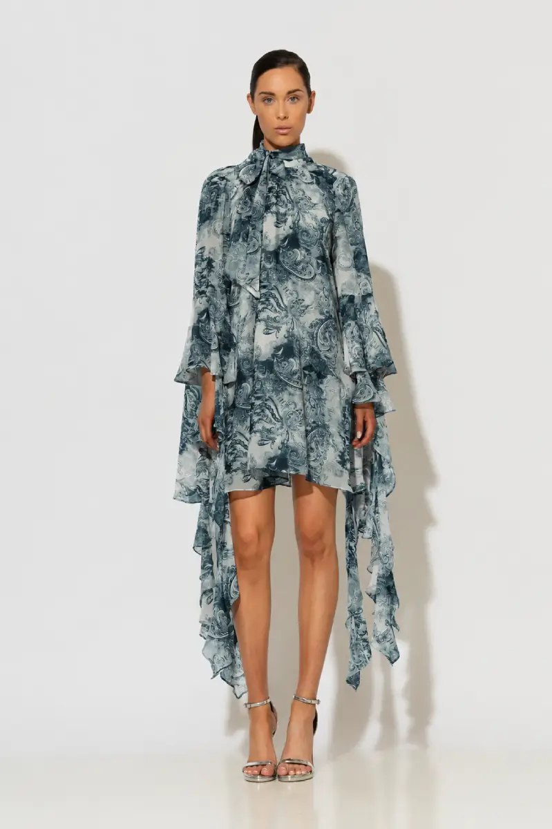 C-throu Printed Chiffon Dress