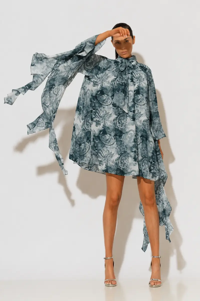 C-throu Printed Chiffon Dress