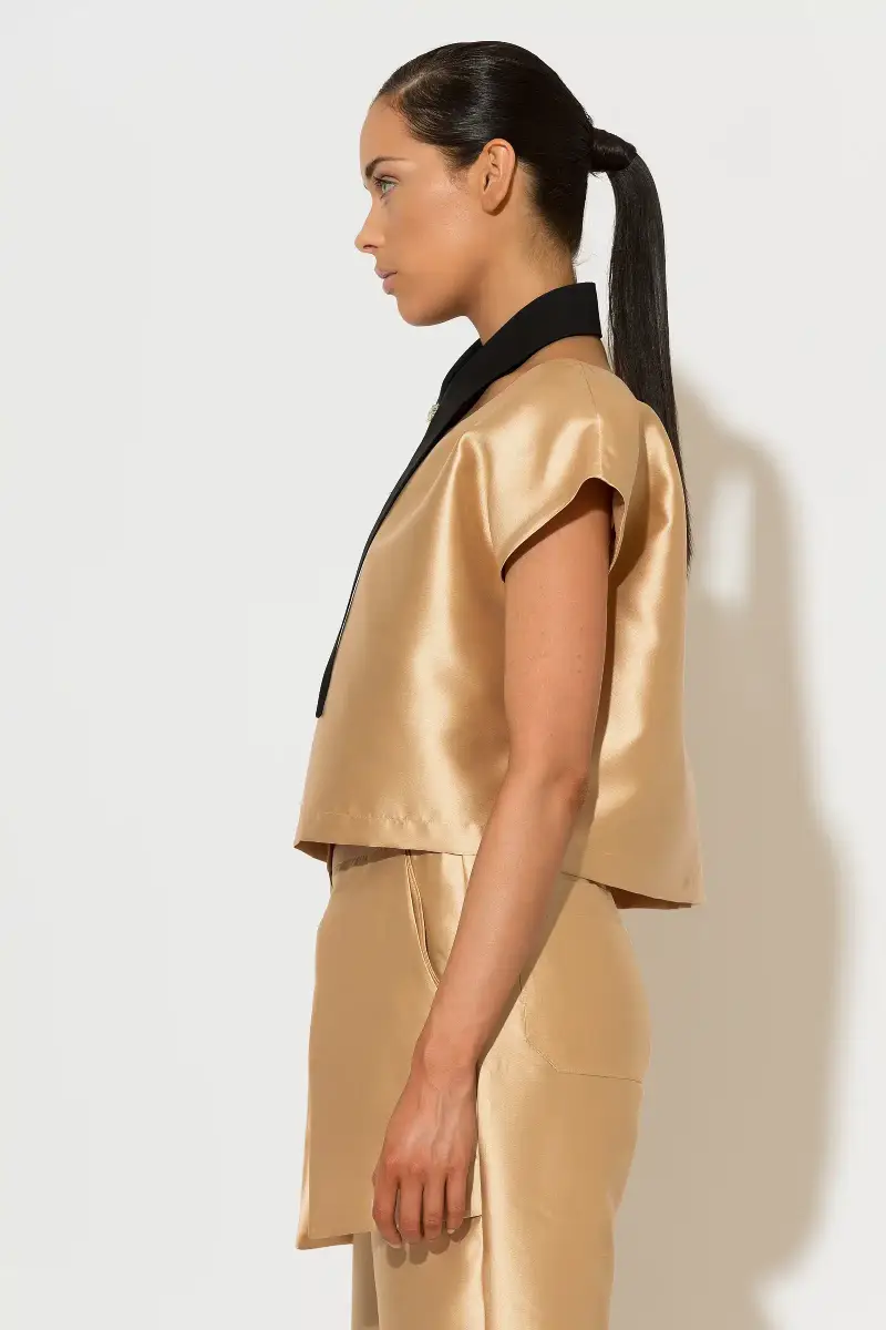 C-throu Beige Taffeta Top