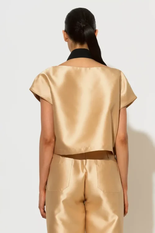 C-throu Beige Taffeta Top