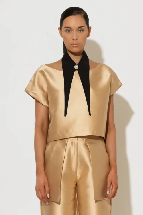 C-throu Beige Taffeta Top