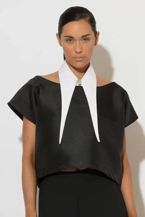 C-throu Black Taffeta Top